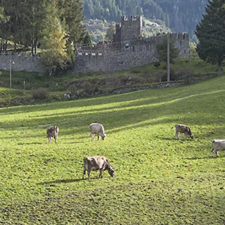 Apartmán Sesto Senso *